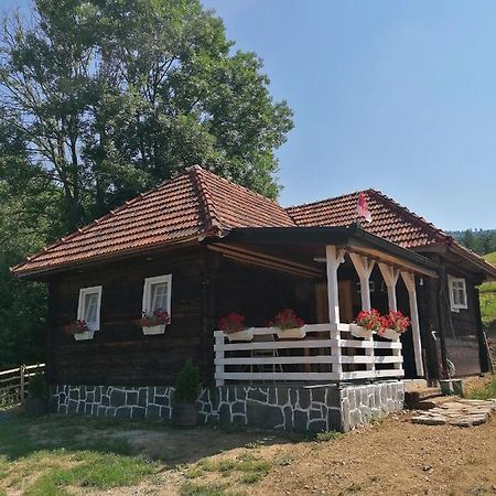 Etno Selo Rakovic Villa Ivanjica Kültér fotó