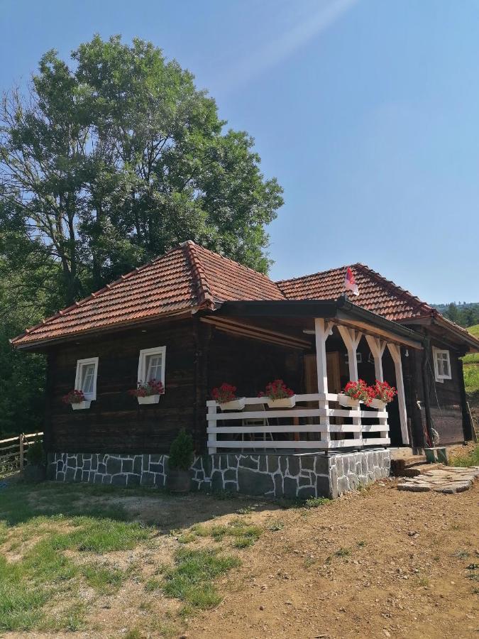 Etno Selo Rakovic Villa Ivanjica Kültér fotó