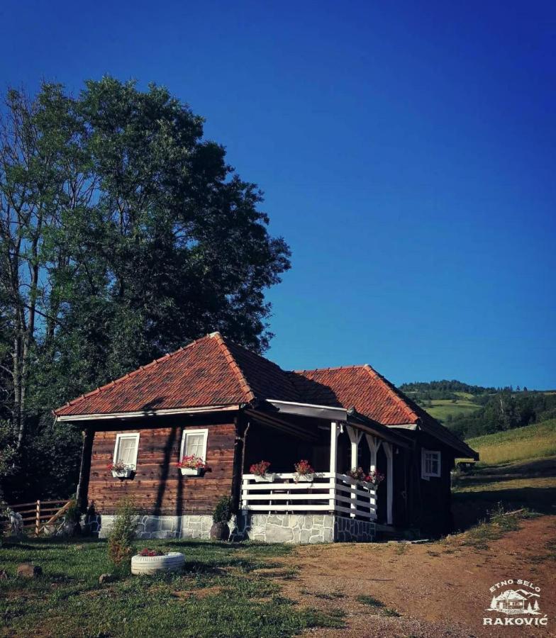 Etno Selo Rakovic Villa Ivanjica Kültér fotó