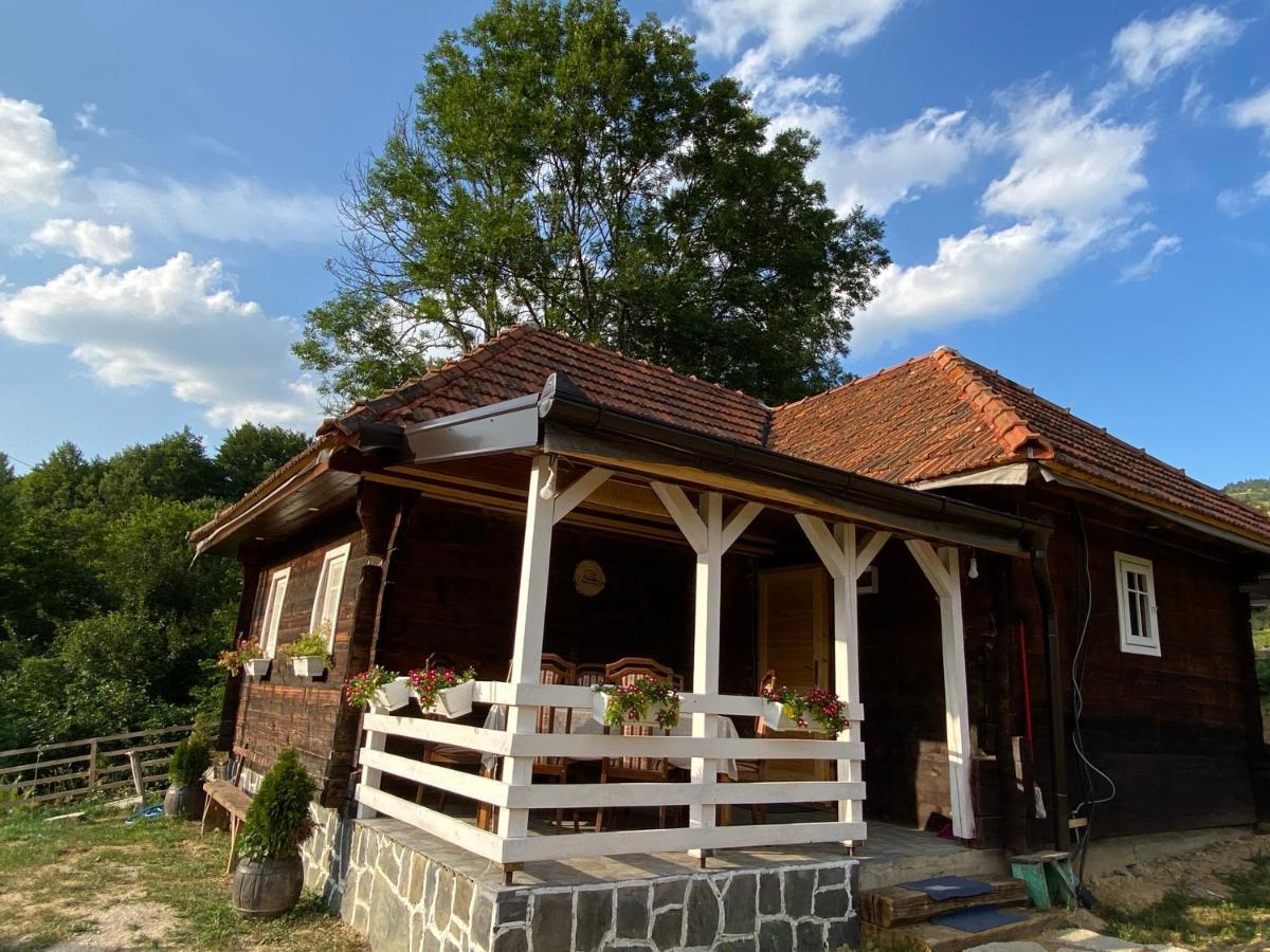 Etno Selo Rakovic Villa Ivanjica Kültér fotó